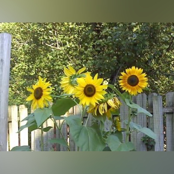 *Offers welcome - Picture 4 of 7